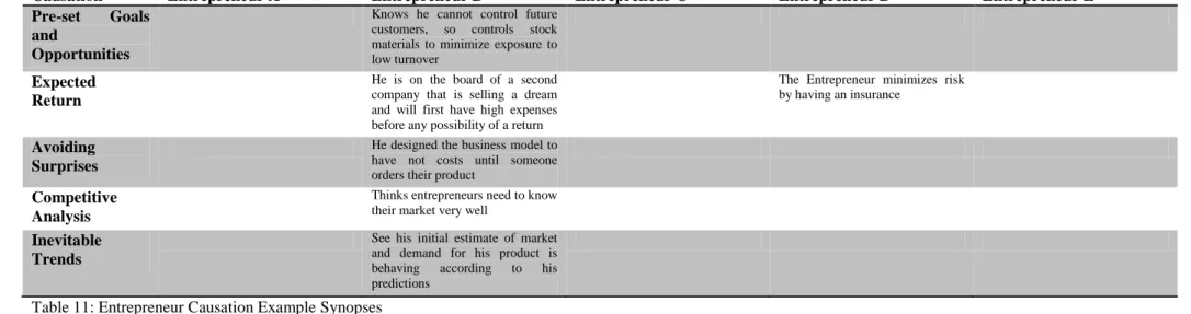 Table 11: Entrepreneur Causation Example Synopses 