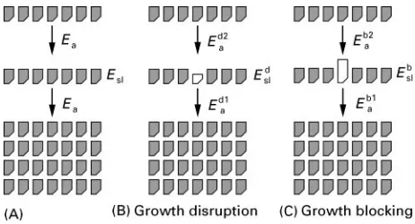 Figure 5Method of calculating the effect of an impurity on the growth rates of the different crystal faces.