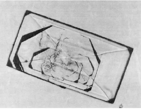Figure 7An RDX (cyclotrimethylene trinitramine) crystal grownfrom the solvent cyclohexanone