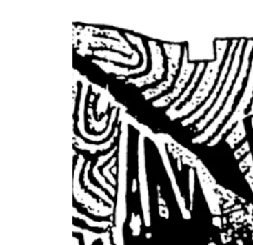 Figure 1.1Ridge characteristics. (Drawn by John Berry.)
