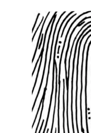 Figure 1.4Elliptical whorl.