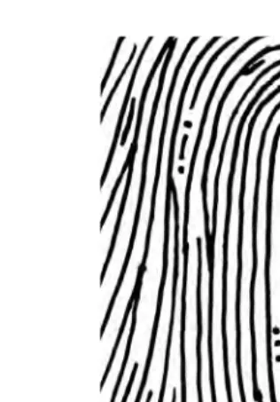 Figure 1.6Nehemiah Grew. (Drawn by John Berry.)