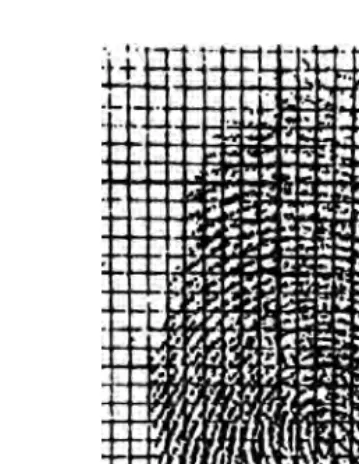 Figure 2.4Osterburg grid method.