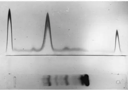 Figure 4Crossed immunoelectrophoresis to profile plasma fib-rinogen derivatives in plasma by: (i) probing the electropherogramwith primary antifibrinogen antibodies; and (ii) measuring theretained antibody by displacing to form rockets in secondary gelcont
