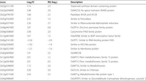 Table 1 Means of micronutrient content in leaves, plant height and root length and shoot and dry matter in 18-day-oldrice seedlings (Oryza sativa ssp