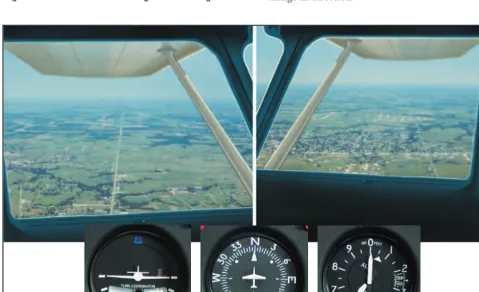 Figure 3-3. Nose reference for straight-and-level flight.