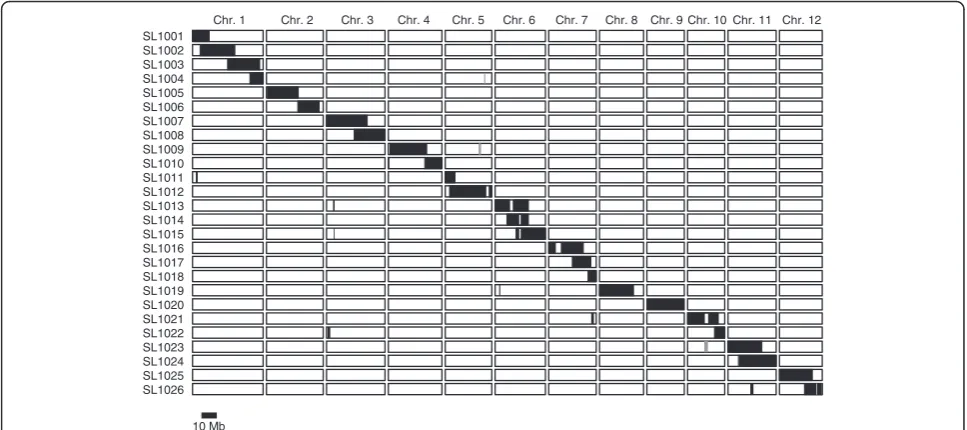 Figure 1 Graphical genotypes of the 26 IK-CSSLs derived from a cross between IR64 and Kinandang Patong (see Additional file 4 for details).White, black, and gray boxes indicate genotypes homozygous for IR64 alleles, those homozygous for Kinandang Patong alleles, and thoseheterozygous for these alleles, respectively.