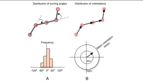 Figure 8 Distribution of turning angles and orientations. (A) Illustration of how to calculate the distribution of turning angles, and (B)distribution of orientations as well as mean orientation vector from discretized trajectories.