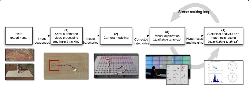 Figure 1 A block diagram of the proposed workflow. The four stages comprise an end-to-end human-computer collaborative toolset toacquire and make sense of insect behavior in field-recorded videos.
