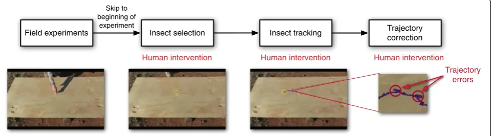Figure 4 A block diagram of the human-guided insect tracking pipeline.