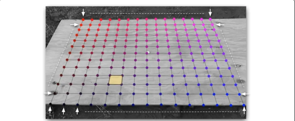 Figure 5 Grid calibration procedure.arrows) along the borders of the experimental region of interest