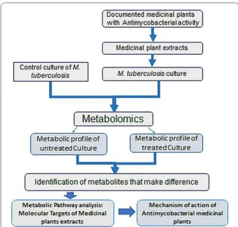 Fig. 4 Application of metabolomics to understanding the mechanisms of action of medicinal plants with anti‑tuberculosis activity: The metabolic profile of the M.tb culture with or without the treatment with antimycobacterial medicinal plant extracts is det