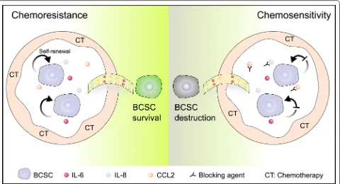 Fig. 4 The interplay of cytokines and BCSCs on regulating chemotherapeutic resistance
