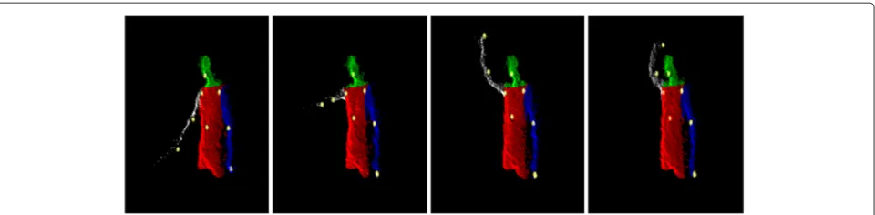 Figure 4 Sample processed by our feature extraction algorithm. This figure shows four frames from a video sample processed by our featureextraction algorithm where localized landmark points are shown as spheres.