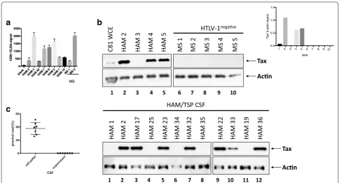 Fig. 5 Detection of exosomes containing HTLV‑1 Tax in CSF of HAM/TSP patients. blot analysis for Tax and Actin levels