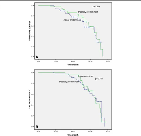 Figure 3 Probability of disease-free survival and overall survival between acinar- and papillary-predominant subtype
