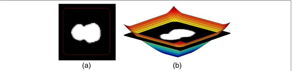 Figure 1 Example of a contour in an image (a) and the level set function that defines it (b).