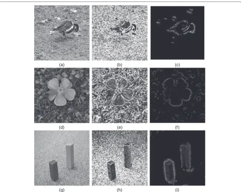 Figure 2 Comparison between polarity information and gradient information. (a, d, g) Original grey-level images; (b, e, h) gradient images ofthe original images; and (c, f, i) polarity images of the original images (σ = 6).