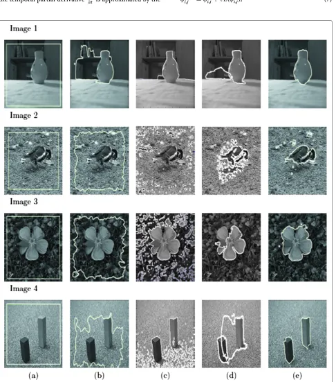 Figure 3 Comparison between the different active contour models. (a) First column - original grey-level images with initial active contours(represented by white lines), (b) second column - segmentation results using gradient-based active contour, (c) third column - segmentationresults using region-based active contour of [31], (d) fourth column - segmentation results using region-based active contour of [30], and (e) fifthcolumn - segmentation results using polarity-based active contour.
