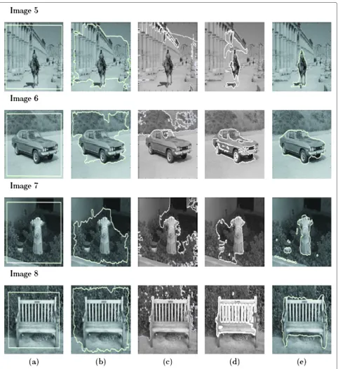 Figure 4 Comparison between the different active contour models. (a) First column - original grey-level images with initial active contours(represented by white lines), (b) second column - segmentation results using gradient-based active contour, (c) third column - segmentationresults using region-based active contour of [31], (d) fourth column - segmentation results using region-based active contour of [30], and (e) fifthcolumn - segmentation results using polarity-based active contour.