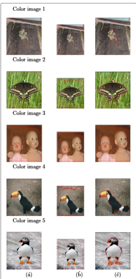 Figure 6 Comparison between the two active contour models.(a) First column (left to right) - original color images with initial activecontours (represented by red lines), (b) second column (left to right) -segmentation results using multi-spectral gradient-based activecontour, and (c) third column (left to right) - segmentation resultsusing multi-spectral polarity-based active contour.