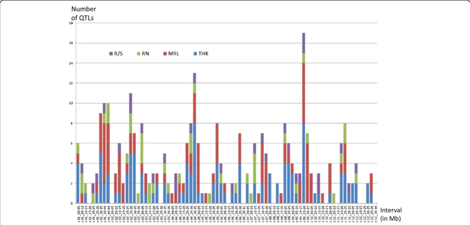Figure 1 Number of root related QTLs detected in rice per chromosome interval. QTL for root to shoot ratio (R/S, violet), root number(RN, green) maximum root length (MRL, red), and root thickness (THK, blue)