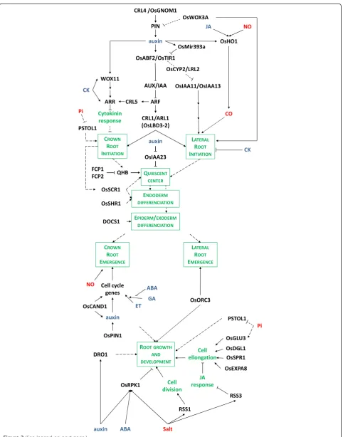 Figure 2 (See legend on next page.)