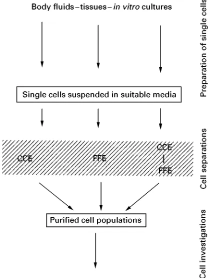 Figure 4Flow diagram showing a survey of the processes ofcell purification described in this article.