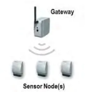 Figure 2.1 WSN Components, Gateway, and Distributed Nodes. [3] 