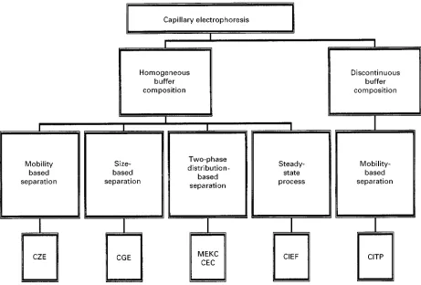 Figure 1Classification of capillary electrophoretic separation methods based on buffer type and mechanism