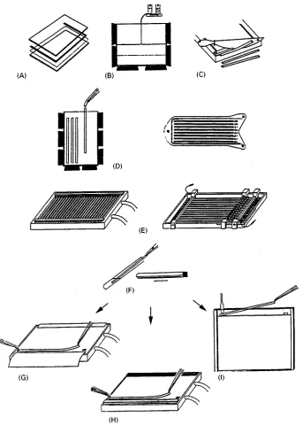 Figure 1Schematic diagram of the procedure of 2-D using IPG IEF. (A) Assembly of the polymerization cassette for the preparationof IPG and SDS gels cast on plastic backings, (B) casting of IPG and gradient SDS gels, (C) cutting of washed and dried IPG gels