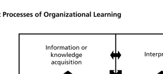 Figure S.1Component Processes of Organizational Learning