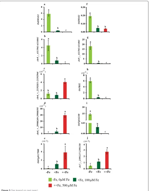 Figure 3 (See legend on next page.)