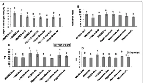 Figure 1 Root growth in diploid and tetraploid rice cultivars under salt stress for 5 days