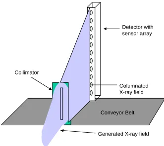 Figure 3.3  Collimated x-ray with sensor array