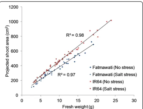 Figure 2 Relationship between projected shoot areas andshoot fresh weight of rice. A positive linear relationship wasobserved in both rice cv