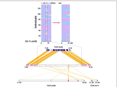 Figure 1 An example of falsely anchored scaffolds revealed by linkage map and syntenic analysis