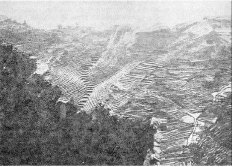 Figure 2-1Terracing of Hillside