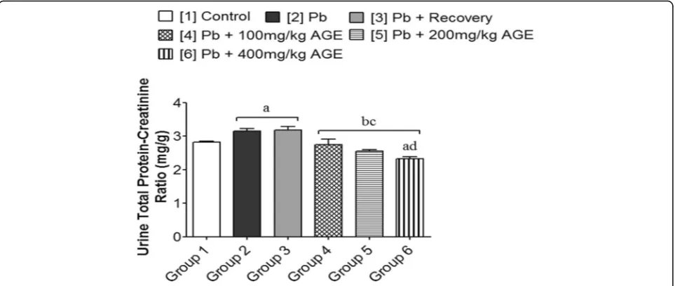 Fig. 4 Histological effects of AGE on the kidney of Wistar rats with Pb-induced kidney injury