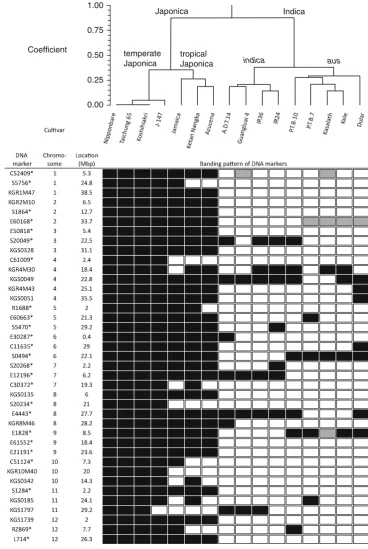 Fig. 2 Classification of the