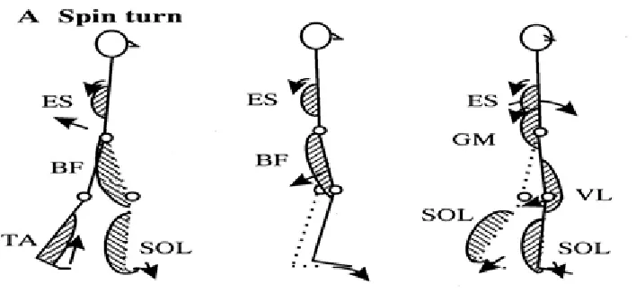 Figure 6: Human Turning pattern 