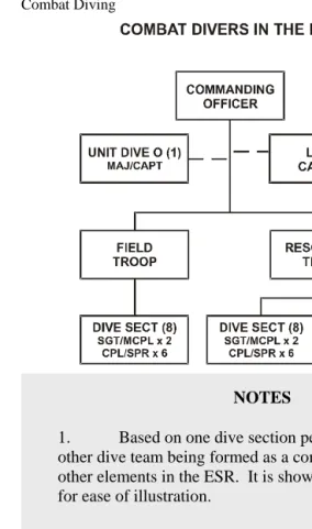 Figure 1-2:  Combat Divers in the ESR 