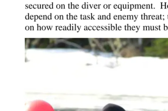 Figure 2-1:  Combat Diver Firing 