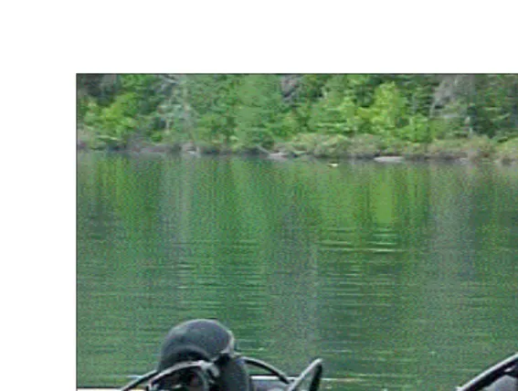 Figure 3-1:  Combat Divers Securing an Area Prior to a Recce 