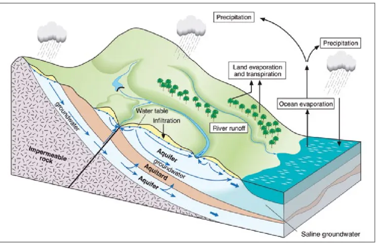 Figure 2.1 Hydrologic cycle: linkages between surface and groundwater. 