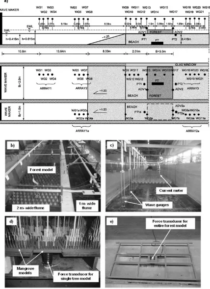 Fig. 6. Exemplary set-up of forest model of width B = 3.0 m in twin-wave ﬂumes with deployed measuring devices.