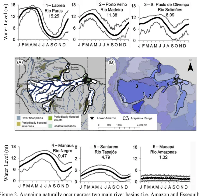 Figure 2. Arapaima naturally occur across two main river basins (i.e. Amazon and Essequibo),  five countries (i.e