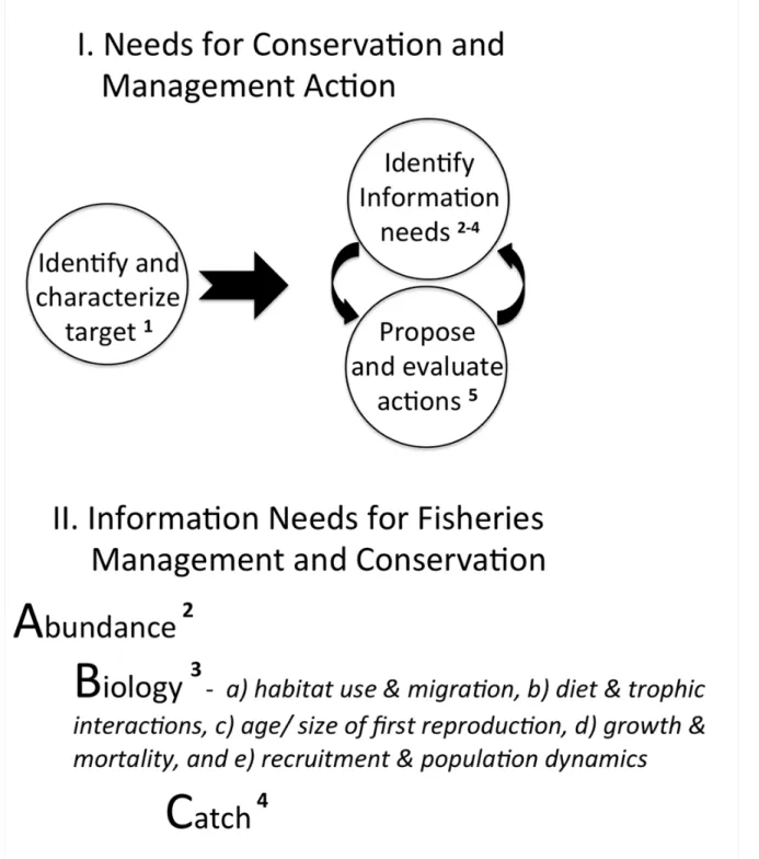 Figure 1. Five actionable themes were used to categorize arapaima research based on the (I)  basic needs for conservation actions, and (II) information needs for fisheries management: 1)  target ID, 2) abundance, 3) biology, 4) catch, and 5) implementation