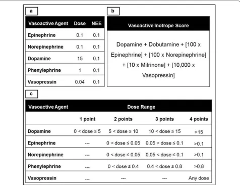Fig. 1 Vasoactive medication scoring systems. Conversion and scoring systems used in norepinephrine equivalents (1A), vasoactive inotrope score (1B) and cumulative vasopressor index (1C)