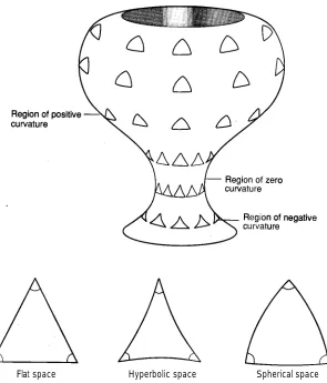 Fig. 2.1 A vase possesses regions which have spherical, hyperbolic, and flat (Euclidean)geometry